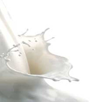 Milk Proteins In Mahesana