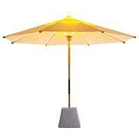 Parasol