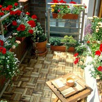 Balcony Gardening