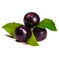 Acai Berry Extracts In Delhi