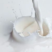 Milk Protein Concentrates