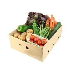 Vegetable Corrugated Box In Delhi