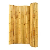 Bamboo Fencing In Delhi