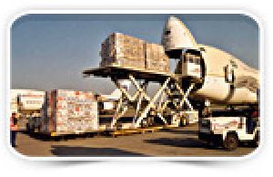 AIR Cargo Fumigation Services