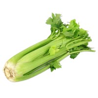 Celery In Nagpur