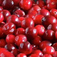 Fresh Cranberries In Bangalore