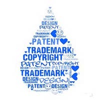 Intellectual Property Right Services