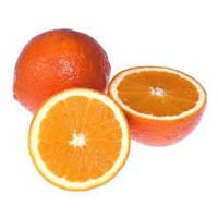 Fresh Orange In Indore
