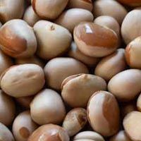 Jackfruit Seeds