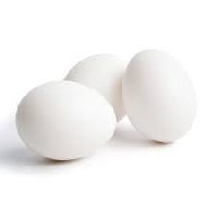 White Poultry Eggs In Navi Mumbai