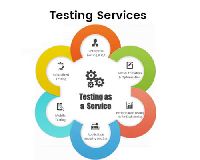 Testing Services In Delhi