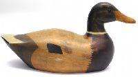 Wooden Duck