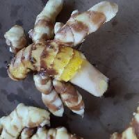 White Turmeric