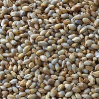 Organic Pearl Millet In Chennai