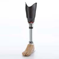 Knee Prosthesis