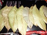 Soursop Leaves