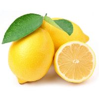 Fresh Lemon