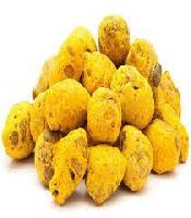 Turmeric Bulb