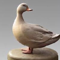 Marble Duck Statue