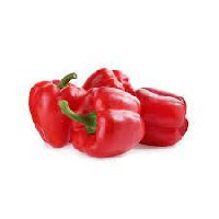 Fresh Red Capsicum