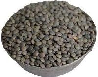 Black Masoor Dal