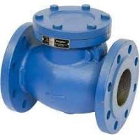 Cast Iron Check Valve