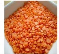 Split Red Masoor Dal