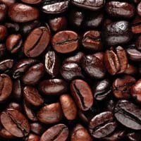 Coffee Beans In Kodaikanal