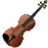 Violin In Kolkata