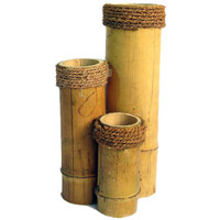 Bamboo Vases