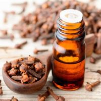 Clove Oil In Mumbai