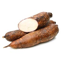 Cassava In Coimbatore