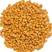 Fenugreek Seed In Bangalore