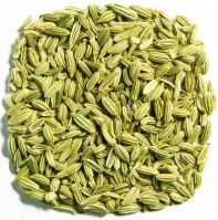 Fennel Seeds In Mumbai