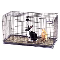 PET Cages In Moradabad