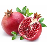 Fruit Extract In Vadodara