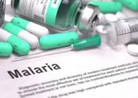 Malaria Medicine