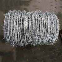 Razor Blade Wire