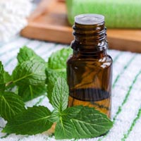 Mentha Citrata Oil In Ghaziabad