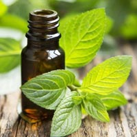 Mentha Arvensis Oil