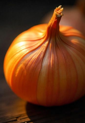 Best Time To Buy Onions At A Low Price
